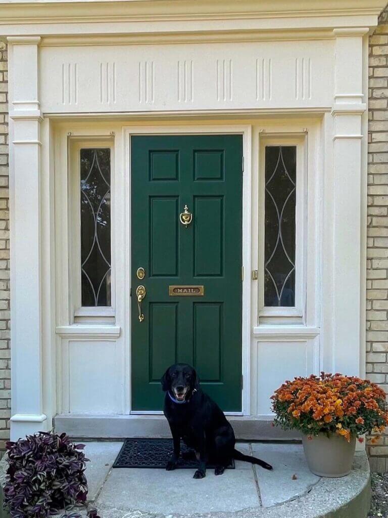 Carpentry – Paint and Restoration Shorewood